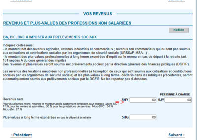 Déclaration de revenus avec la 2042 pro pour les auto-entreprises