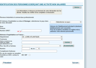 Identification de votre auto-entreprise pour votre déclaration de revenus