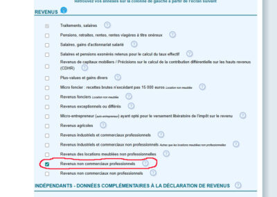 Revenus non commerciaux professionnels
